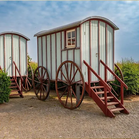 Waldfriede Grau Appartement Heringsdorf (Usedom)